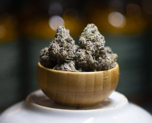 Hemp flower close-up